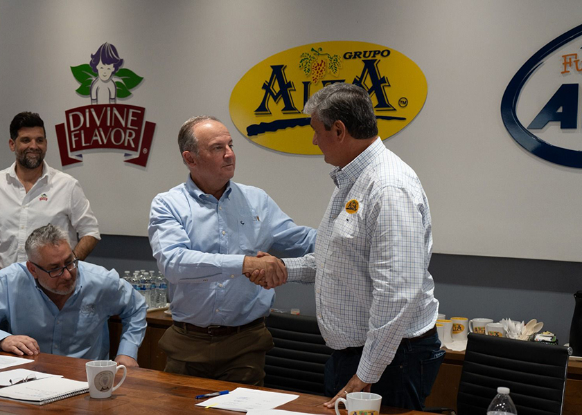 Table grape importers pen agreement to shift markets The Packer